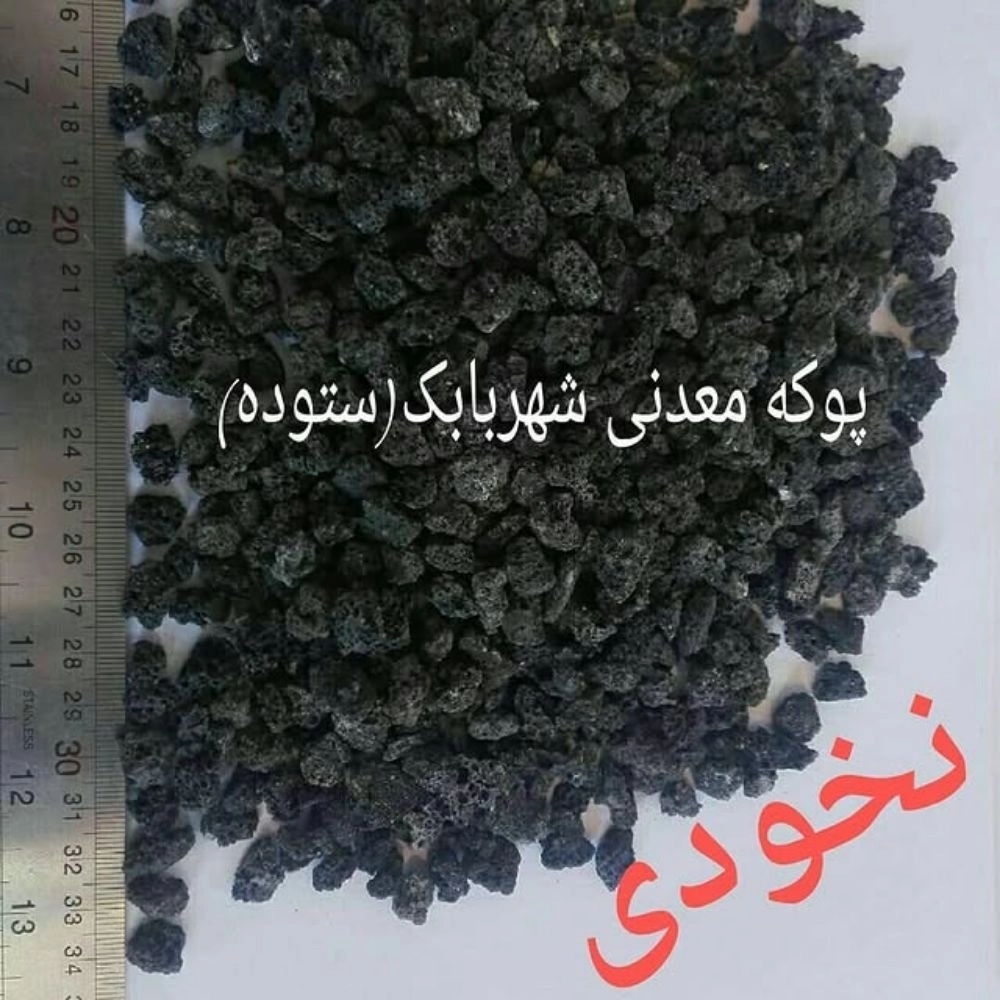 1761464529966.webp
